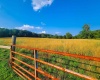 E Calvertville Road, Bloomfield, Indiana 47424,MLS,202516967