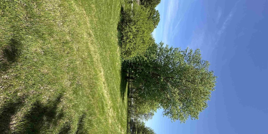 4909 W County Road 1375 S, Jasonville, Indiana 47438,MLS,202517355