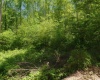 10130 E Dobson Road, Bloomfield, Indiana 47424,MLS,202517568
