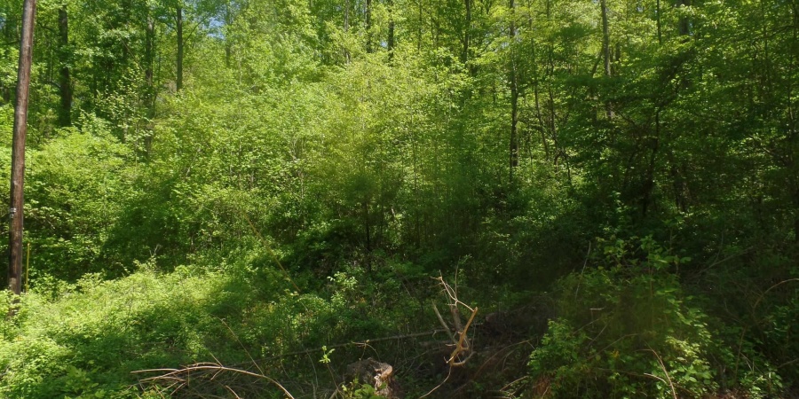 10130 E Dobson Road, Bloomfield, Indiana 47424,MLS,202517568