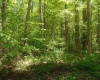 10130 E Dobson Road, Bloomfield, Indiana 47424,MLS,202517568