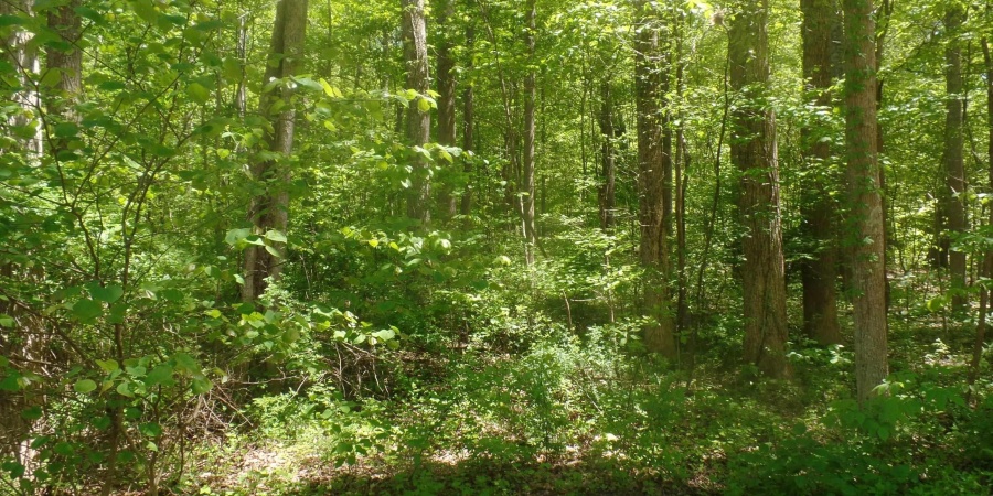 10130 E Dobson Road, Bloomfield, Indiana 47424,MLS,202517568