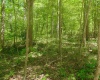 10130 E Dobson Road, Bloomfield, Indiana 47424,MLS,202517568