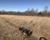 IN 54 E of Holmes LN Highway, Springville, Indiana 47462,MLS,202517838