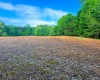 0 Oak Ridge Road, Morgantown, Indiana 46160,MLS,202517846