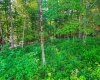 0 Oak Ridge Road, Morgantown, Indiana 46160,MLS,202517846