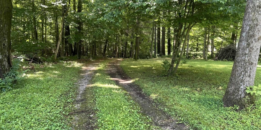 493 Hornettown Lane, Morgantown, Indiana 46160-8791,MLS,202420670