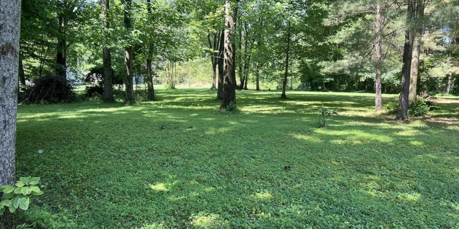 493 Hornettown Lane, Morgantown, Indiana 46160-8791,MLS,202420670