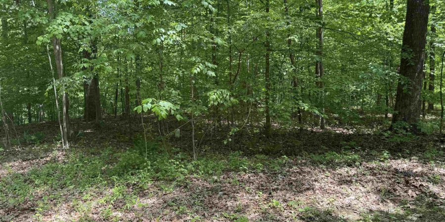 0000 N Lahr Drive, Martinsville, Indiana 46151,MLS,202518335