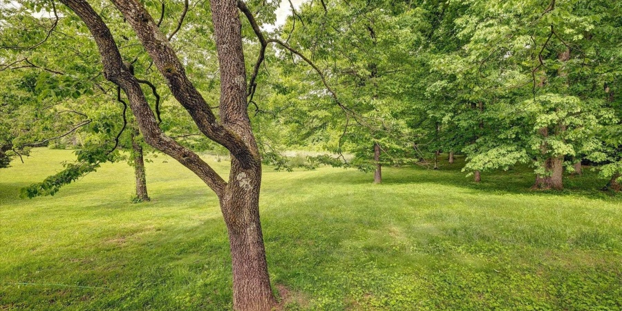 7373 Locust Lake Road, Spencer, Indiana 47460,MLS,202518622