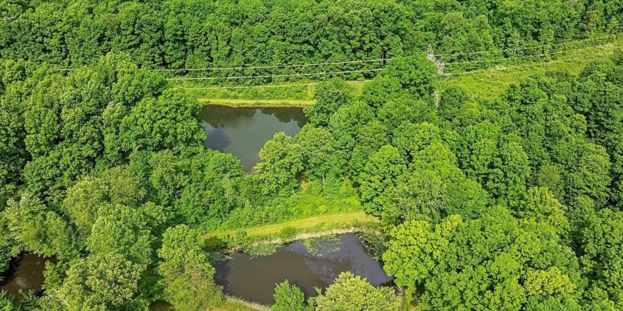 7373 Locust Lake Road, Spencer, Indiana 47460,MLS,202518622