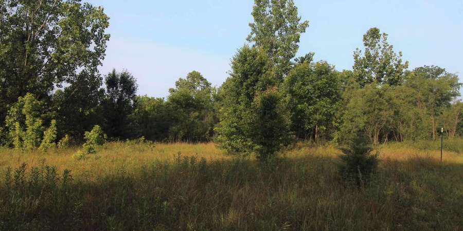 0 W State Hwy Highway, Spencer, Indiana 47460,MLS,202519740