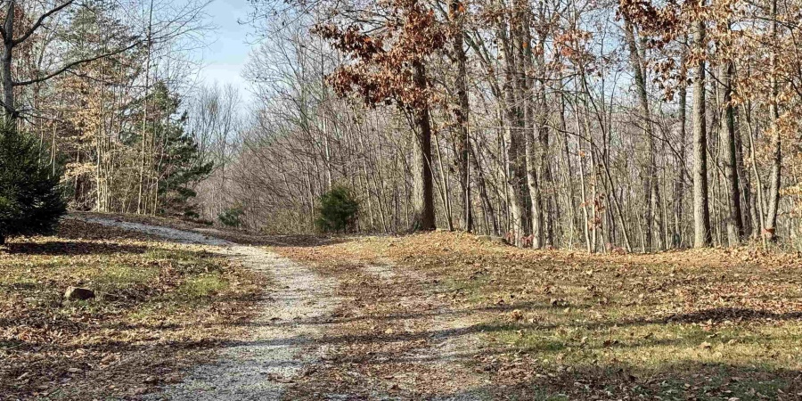 3100 Block Straight Line Road, Freedom, Indiana 47431,MLS,202519971