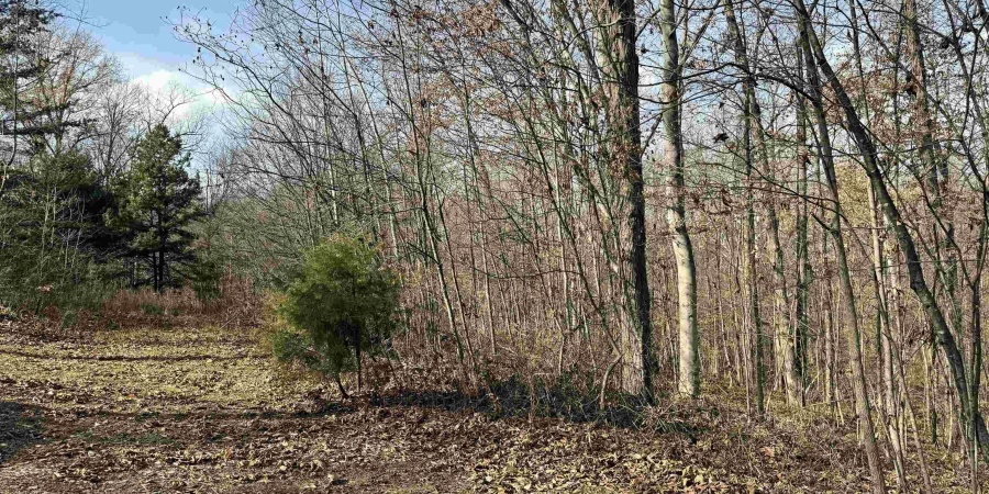 3100 Block Straight Line Road, Freedom, Indiana 47431,MLS,202519971