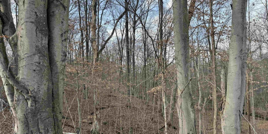 3100 Block Straight Line Road, Freedom, Indiana 47431,MLS,202519971