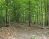 13309 E Hillview Lane, Solsberry, Indiana 47459-7101,MLS,202521207