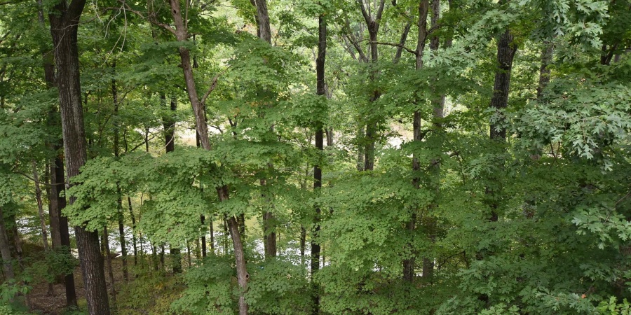 9428 S Lake Ridge Drive, Bloomington, Indiana 47401,MLS,202521830