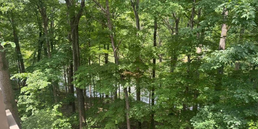 9428 S Lake Ridge Drive, Bloomington, Indiana 47401,MLS,202521830