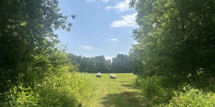 6227 E Hackers Creek Road, Martinsville, Indiana 46151,MLS,202522119
