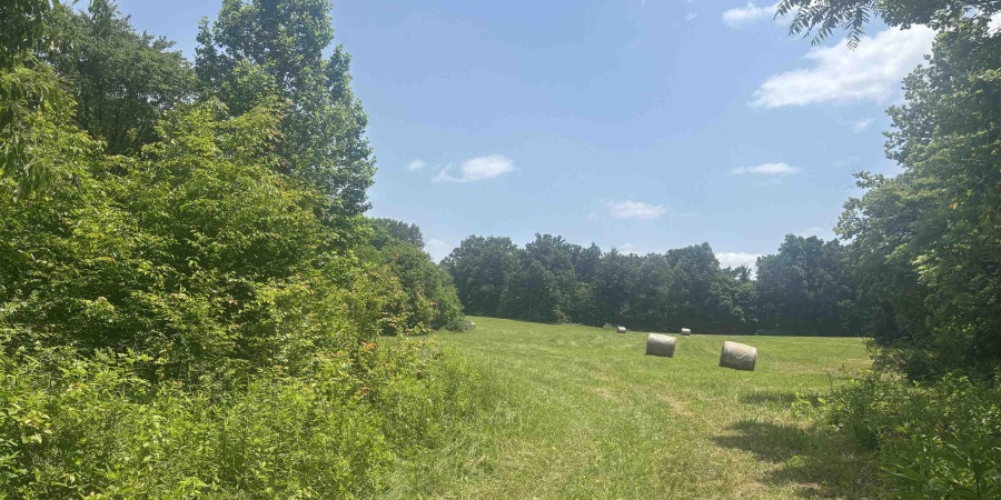 6227 E Hackers Creek Road, Martinsville, Indiana 46151,MLS,202522119