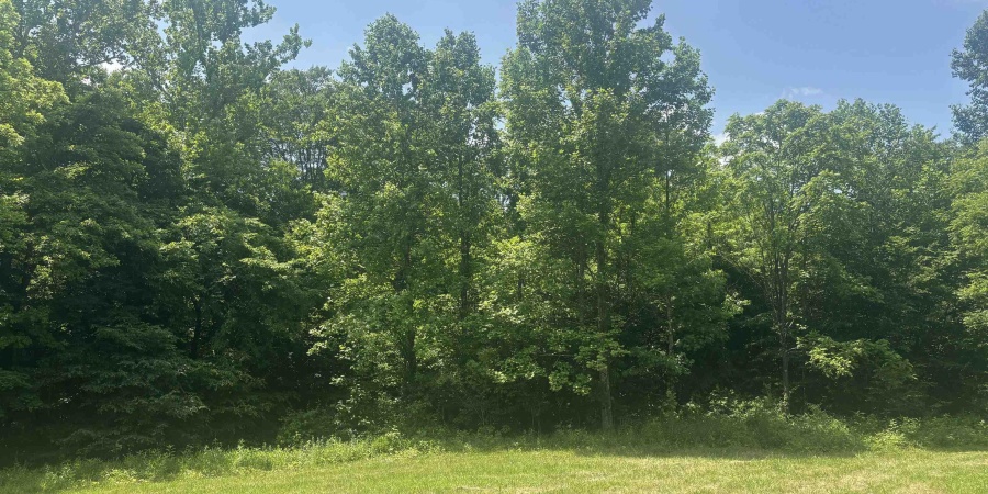 6227 E Hackers Creek Road, Martinsville, Indiana 46151,MLS,202522119