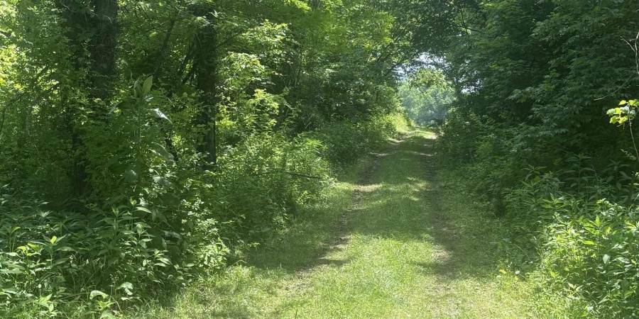 6227 E Hackers Creek Road, Martinsville, Indiana 46151,MLS,202522119