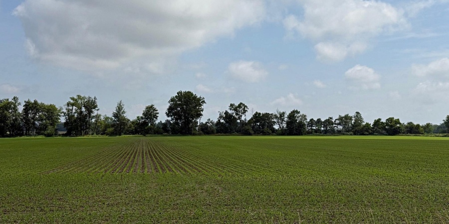 Base Road, Lyons, Indiana 47443,MLS,202523088