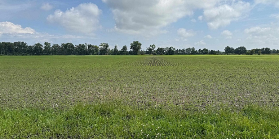 Base Road, Lyons, Indiana 47443,MLS,202523088