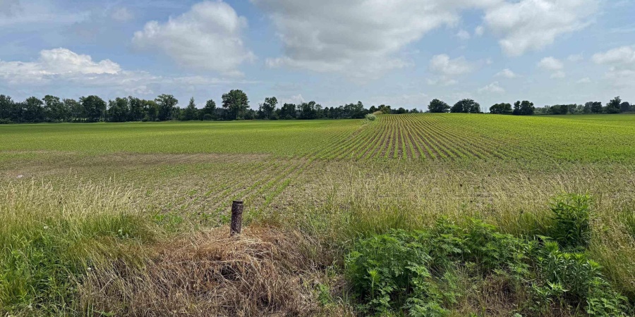 Base Road, Lyons, Indiana 47443,MLS,202523088