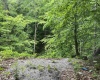 11124 S Co Rd 225 W Lot D, Cloverdale, Indiana 46120,MLS,202519847