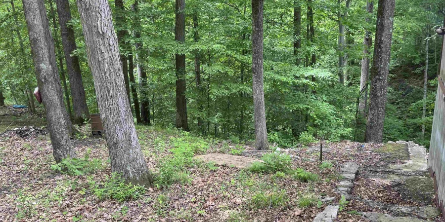 11124 S Co Rd 225 W Lot D, Cloverdale, Indiana 46120,MLS,202519847