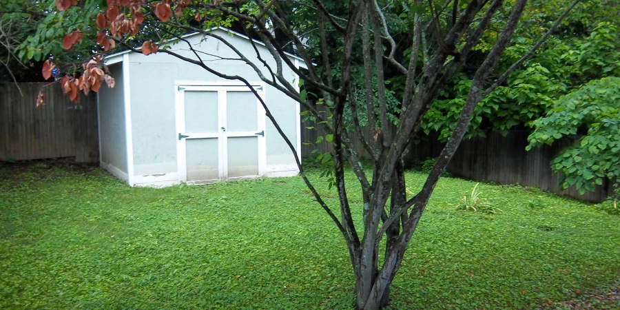 917 N Maple Street, Bloomington, Indiana 47404-3319,MLS,202523246