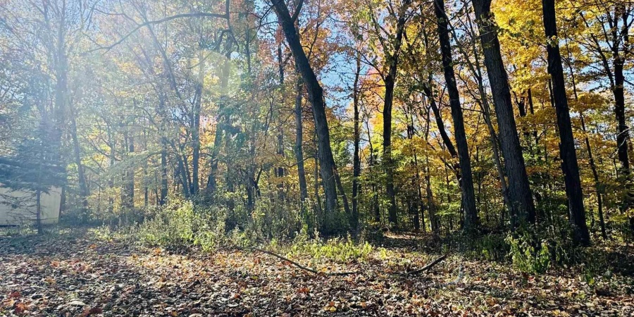 687 N Deer Lake Drive, Bloomfield, Indiana 47424-6944,MLS,202523322
