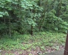 18 Oak Tree Lane, Springville, Indiana 47462,MLS,202523399