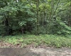 18 Oak Tree Lane, Springville, Indiana 47462,MLS,202523399