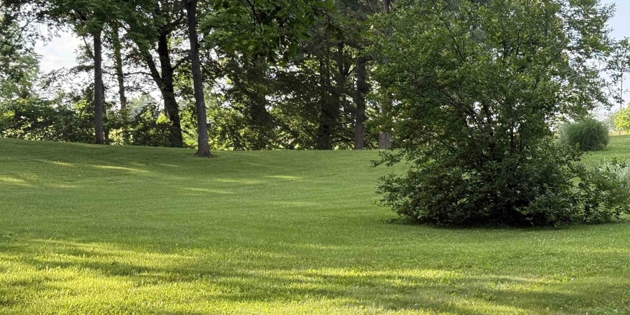 299 Spring Haven Rd, Mitchell, Indiana 47446,MLS,202523531