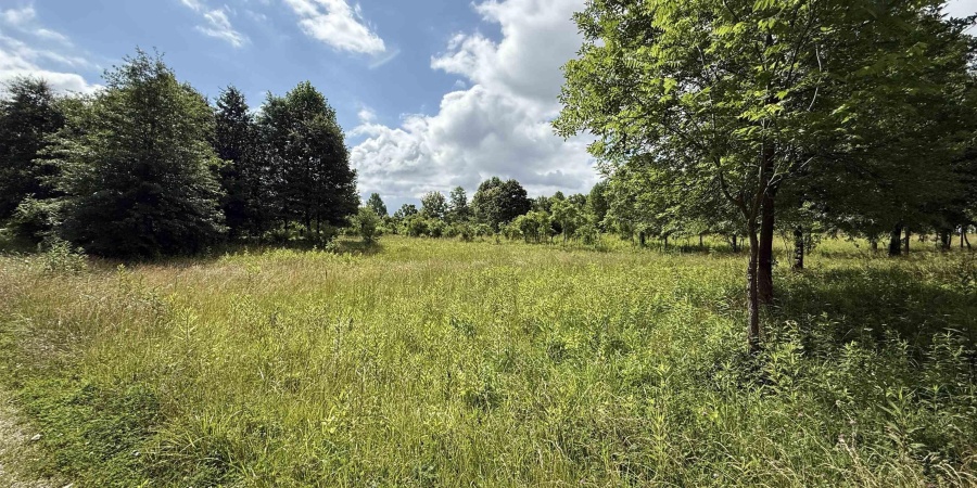 0 S 200 W Road, Bloomfield, Indiana 47424,MLS,202523666