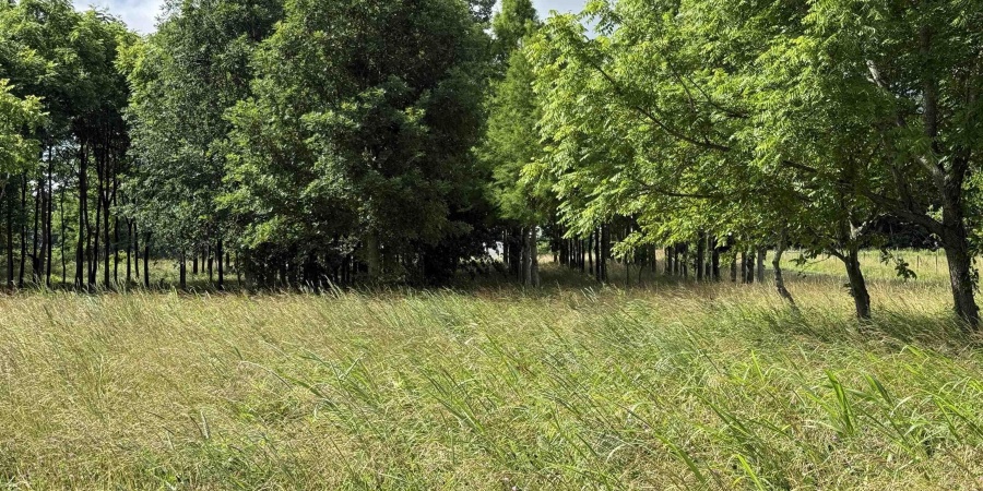 0 S 200 W Road, Bloomfield, Indiana 47424,MLS,202523666
