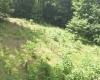 946 E Chambers Pike, Bloomington, Indiana 47408,MLS,202523821