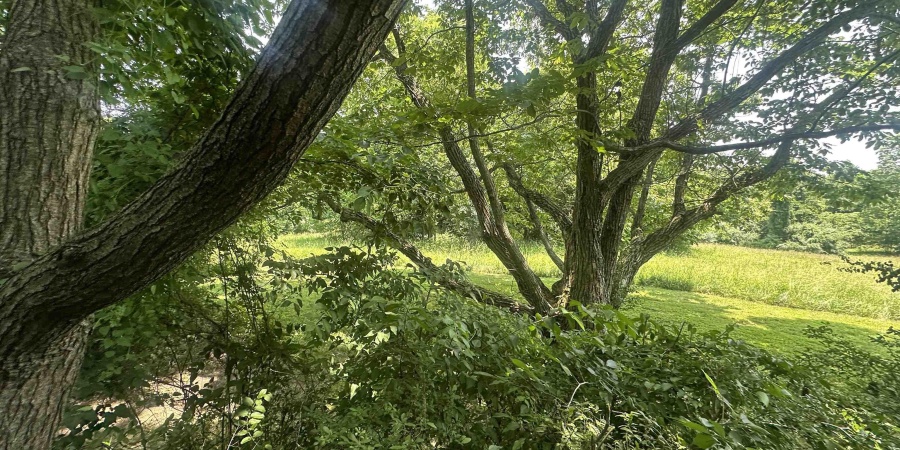2176 W State Road 45 Highway, Solsberry, Indiana 47459-6097,MLS,202523891
