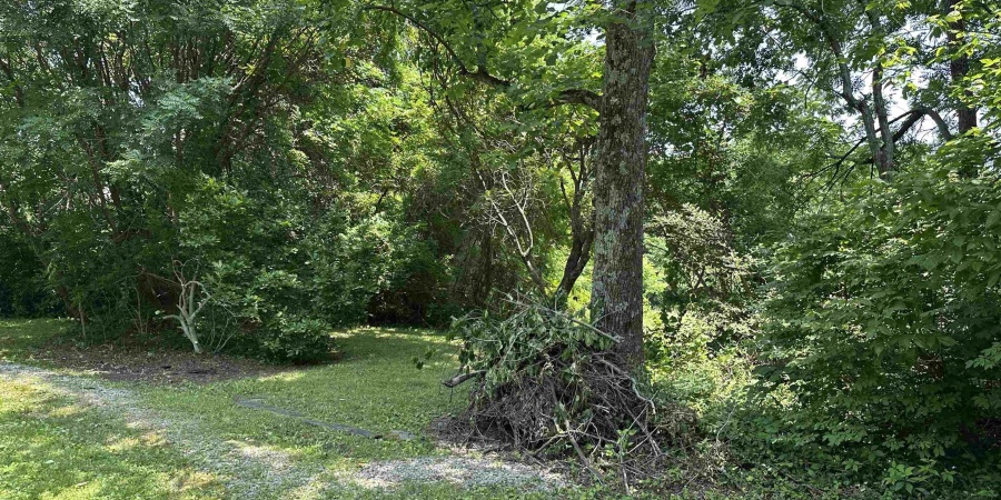 2176 W State Road 45 Highway, Solsberry, Indiana 47459-6097,MLS,202523891