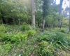 Lot 7 Highland Avenue, Bloomington, Indiana 47401,MLS,202524949