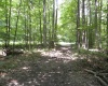 0000 W Coon Path Rd Road, Spencer, Indiana 47460,MLS,202525208