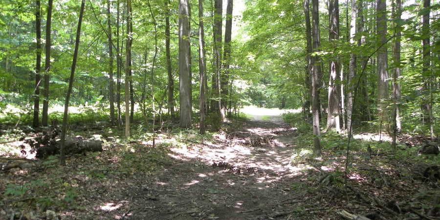 0000 W Coon Path Rd Road, Spencer, Indiana 47460,MLS,202525208