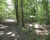 0000 W Coon Path Rd Road, Spencer, Indiana 47460,MLS,202525208