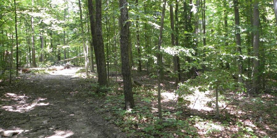 0000 W Coon Path Rd Road, Spencer, Indiana 47460,MLS,202525208