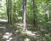 0000 W Coon Path Rd Road, Spencer, Indiana 47460,MLS,202525208