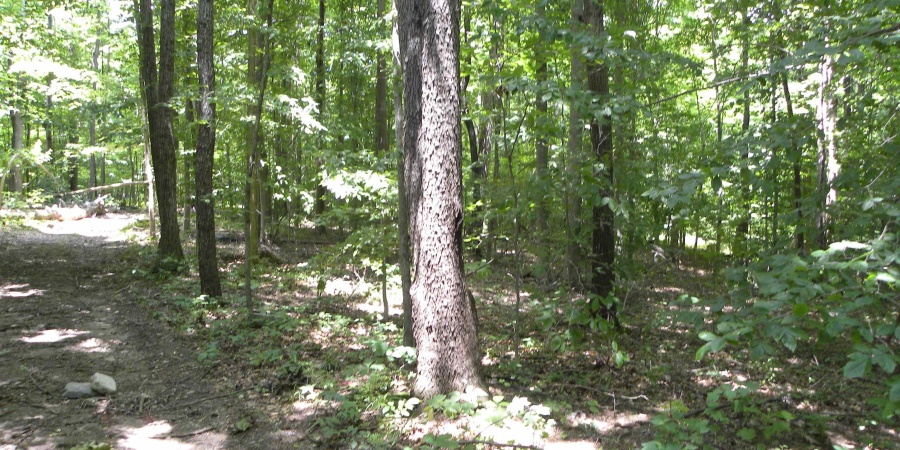 0000 W Coon Path Rd Road, Spencer, Indiana 47460,MLS,202525208