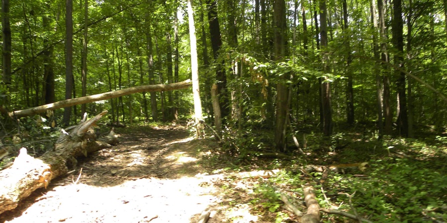 0000 W Coon Path Rd Road, Spencer, Indiana 47460,MLS,202525208
