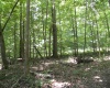0000 W Coon Path Rd Road, Spencer, Indiana 47460,MLS,202525208